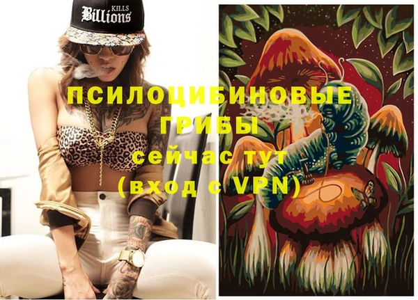 амфетамин Алексеевка