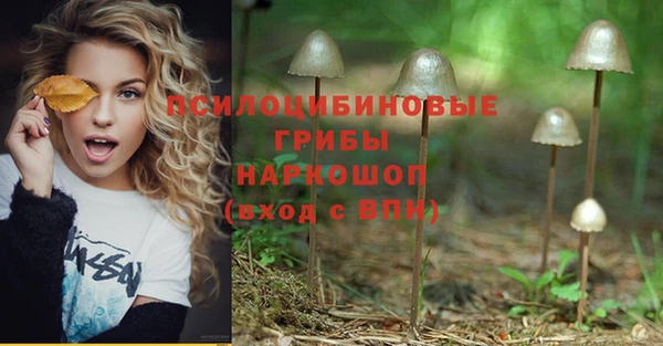 скорость Алексин